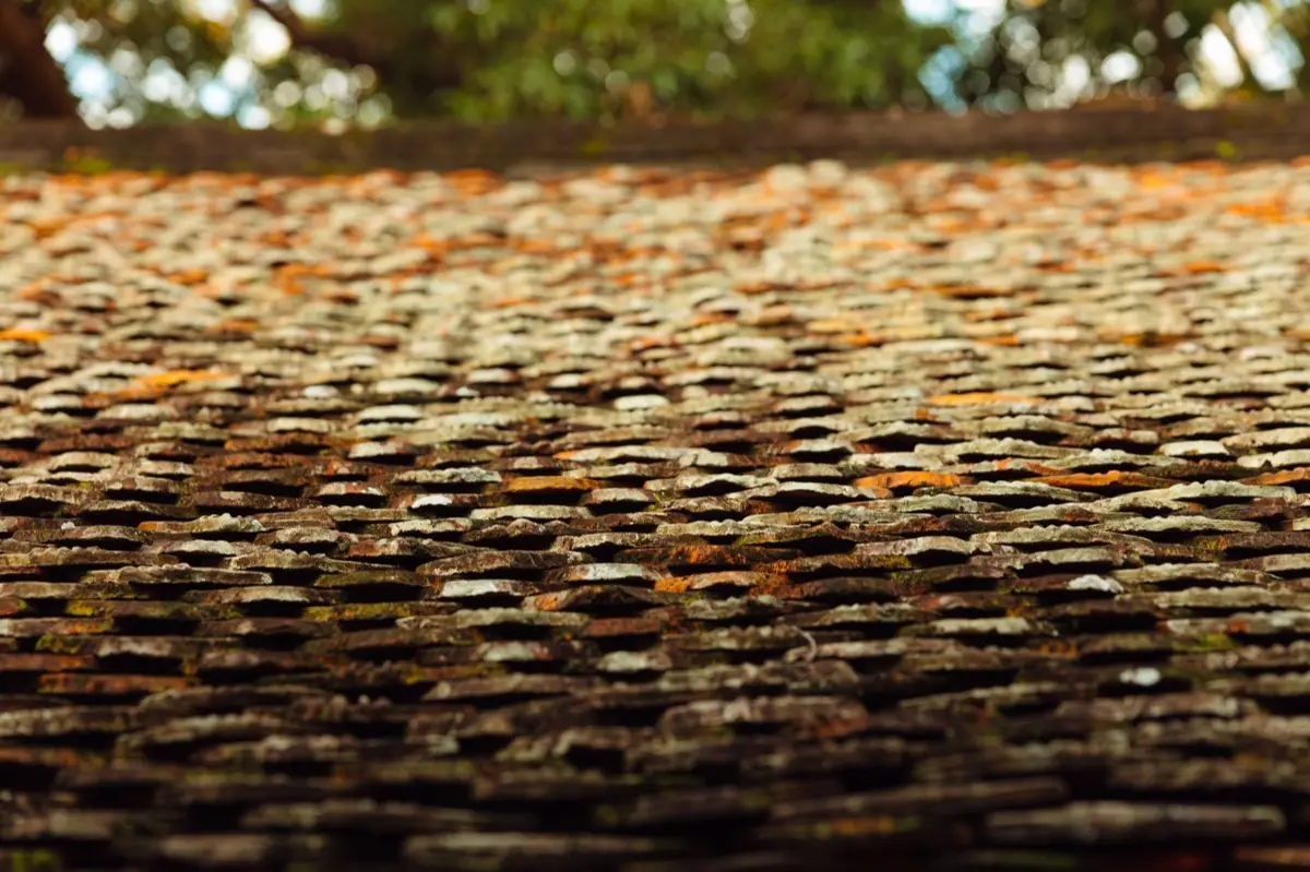 Aging shingle roof with moss growth and granule loss in Ontario, CA